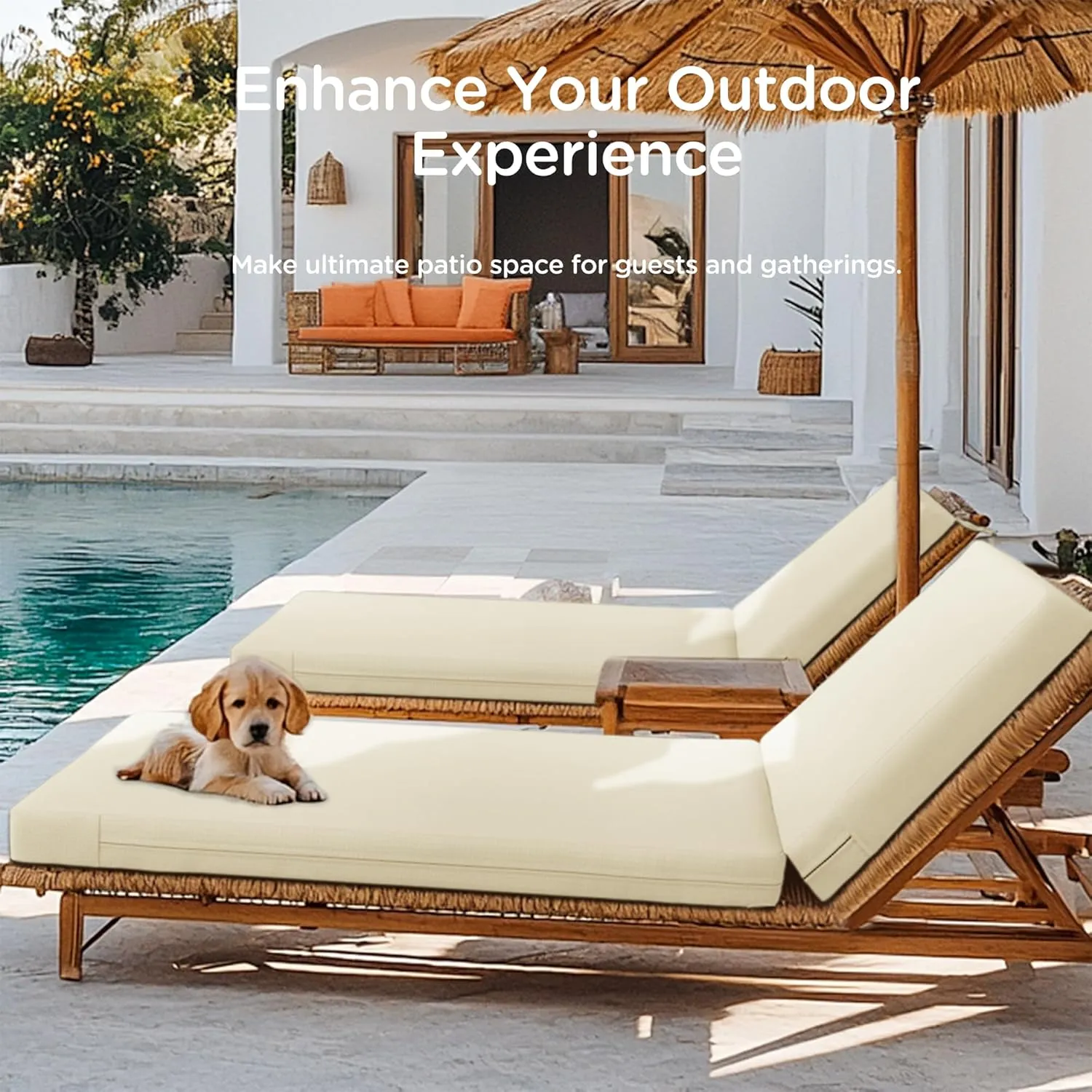 Codi Outdoor Lounge Chair Cushion, Chaise Cushions for Patio Furniture, Double Waterproof Fabric for Pool, 72 x 22.5 x 3.5 Inch 1PK Beige
