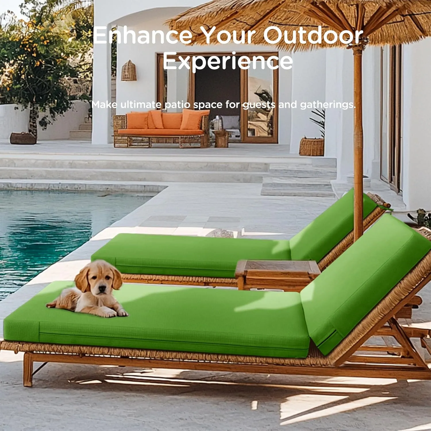 Codi Outdoor Lounge Chair Cushions, Chaise Cushion for Patio Furniture, Double Waterproof Fabric for Pool, Garden and Beach, 72 x 22.5 x 3.5 Inch 1PK Green