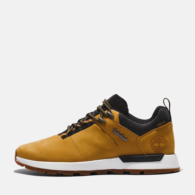 Field Trekker Low For Men