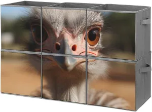 Foldable Storage Boxes Cute Ostrich Collapsible Storage Bins, 6Pcs Closet Storage Bin Organizer,Cube Folding Storage Baskets with Handles