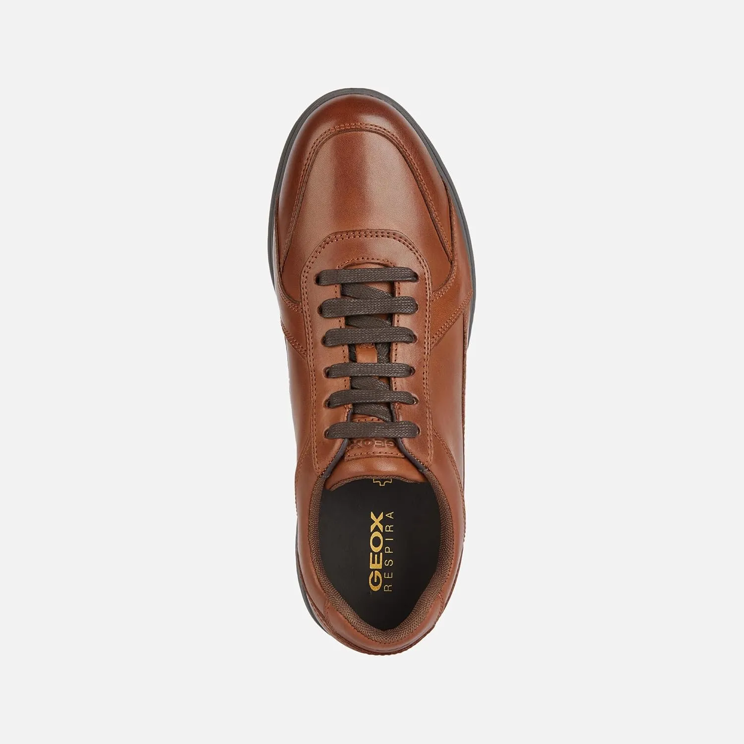 Geox Men's U Spherica Ec12 Trainers