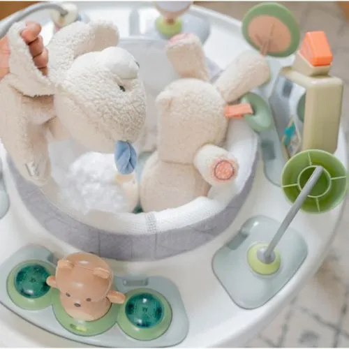 Ingenuity Spring & Sprout 2 in 1 Activity Jumper & Table