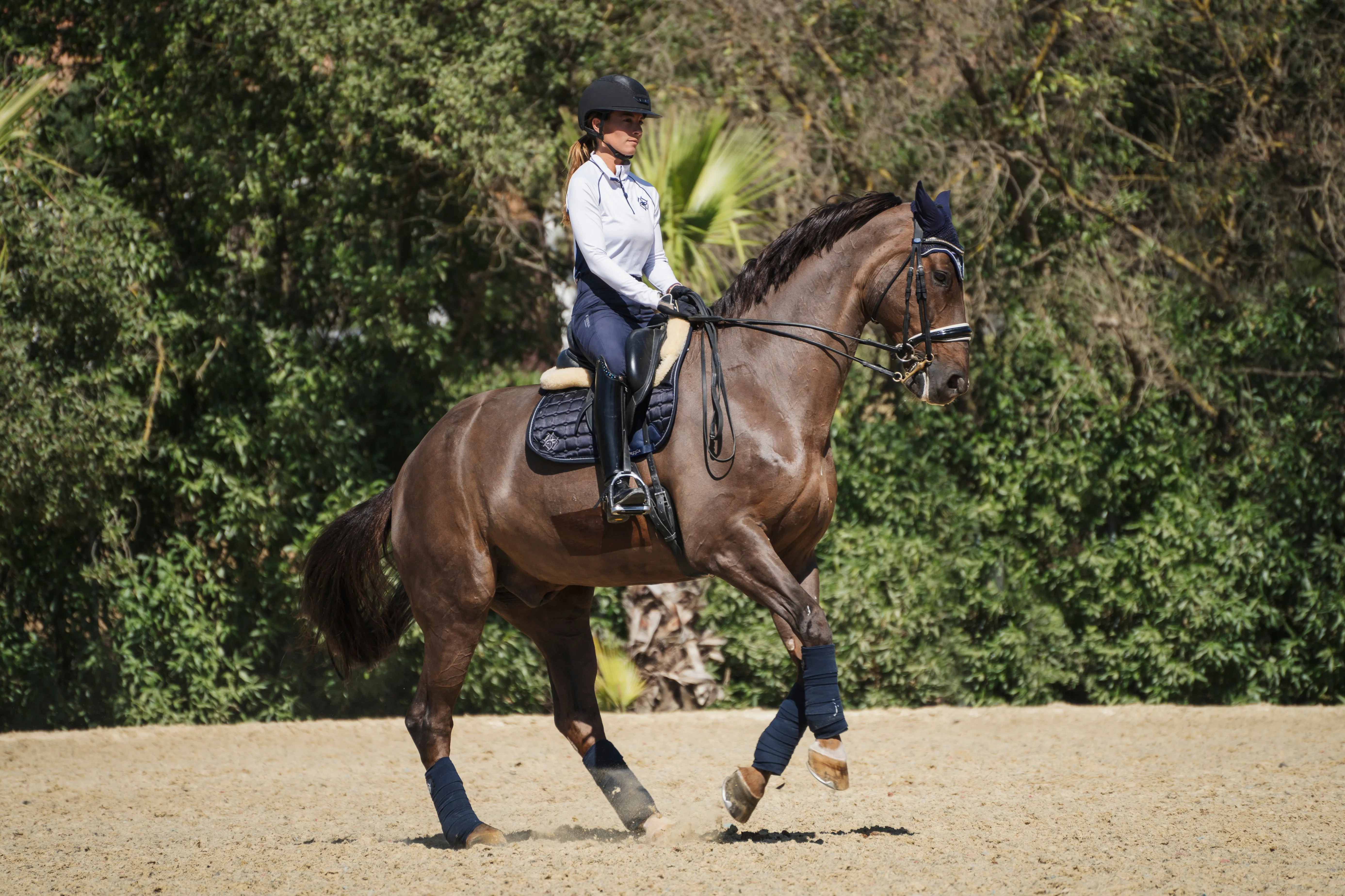 Oxford Blue Diamanté Dressage Saddle Pad