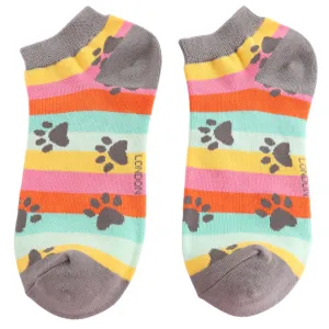 Paw Prints and Stripes Bamboo Trainer Socks in Brights Miss Sparrow, Size UK 4-7