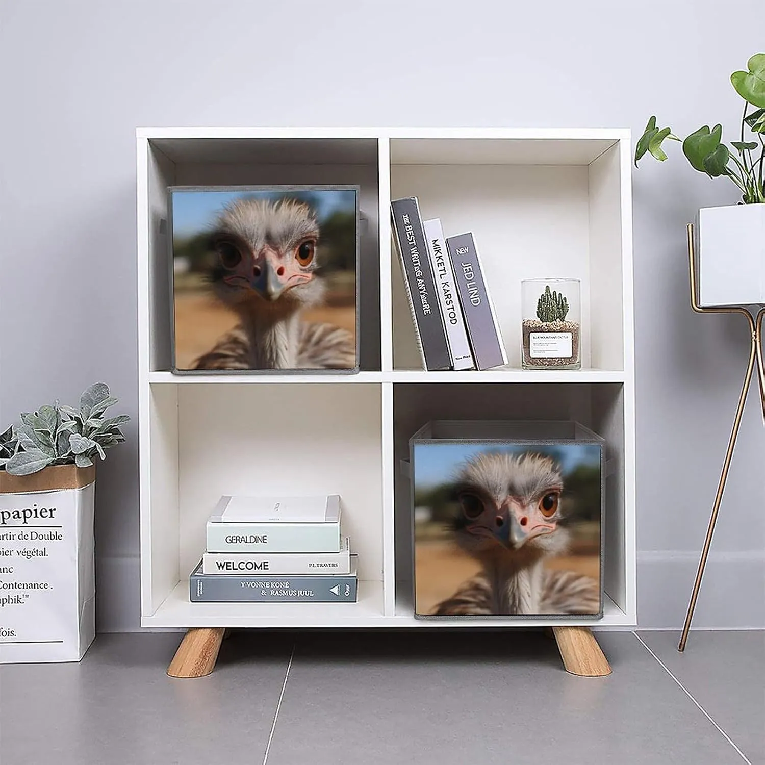 Storage Bin Sets 2PCS Cute Ostrich Storage Cube Storage Basket with Handle Foldable Storage Box Collapsible Closet Organizer Bin Shelf Baskets for Bedroom Clothing