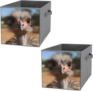 Storage Bin Sets 2PCS Cute Ostrich Storage Cube Storage Basket with Handle Foldable Storage Box Collapsible Closet Organizer Bin Shelf Baskets for Bedroom Clothing