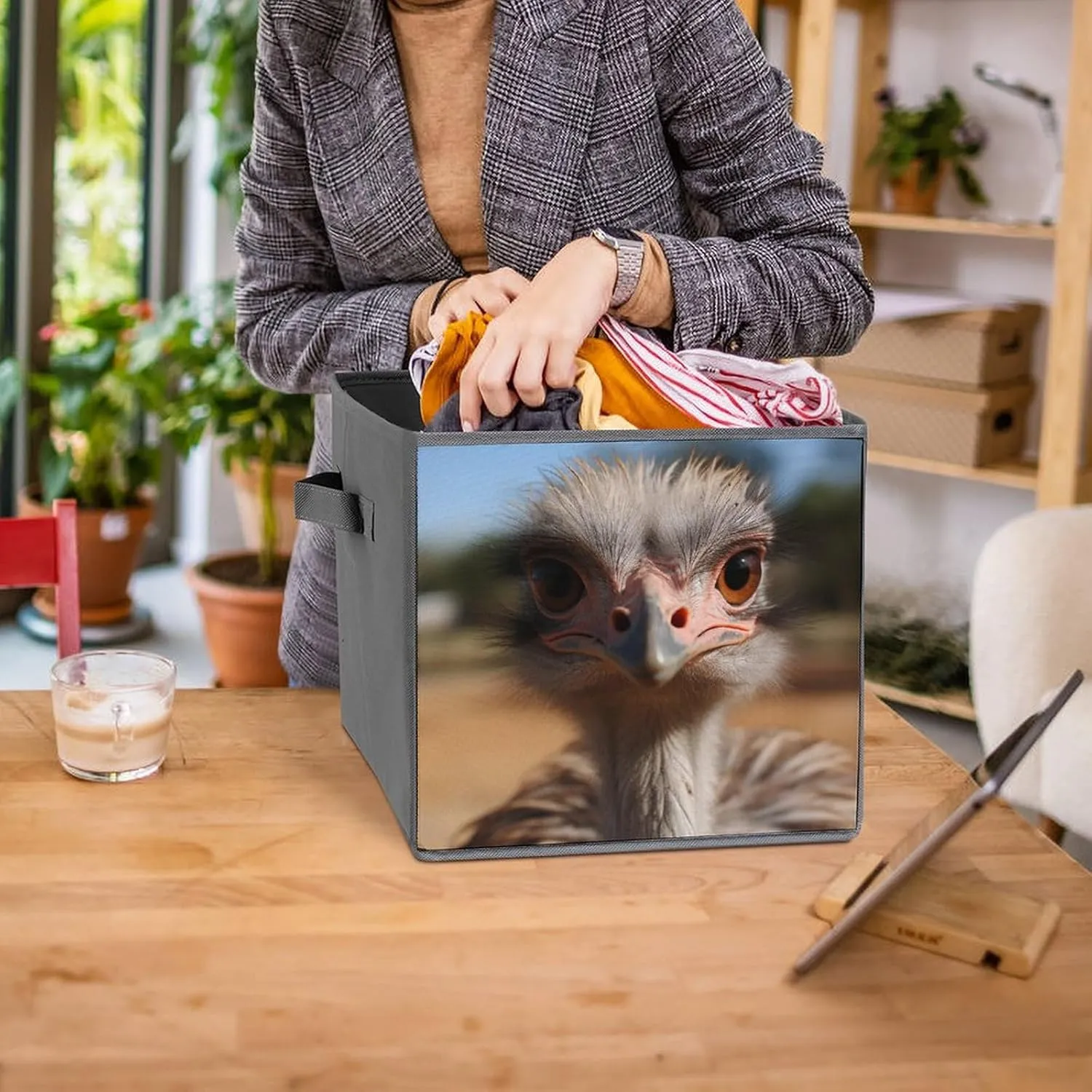 Storage Bin Sets 2PCS Cute Ostrich Storage Cube Storage Basket with Handle Foldable Storage Box Collapsible Closet Organizer Bin Shelf Baskets for Bedroom Clothing